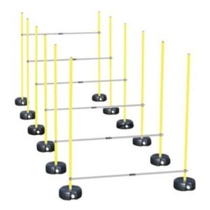 Slalom Seti Standart