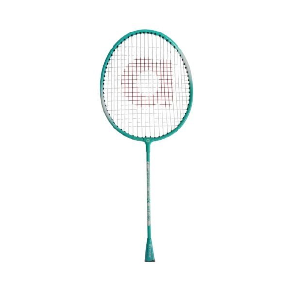 Badminton Raketi AVESSA BST-100 SET