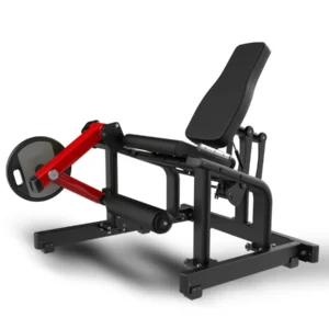 Seated Leg Extension